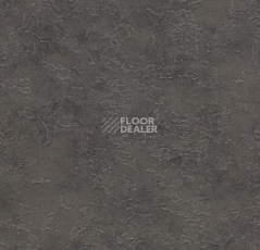 Линолеум Forbo Eternal Material 13252 grey slate фото 1 | FLOORDEALER